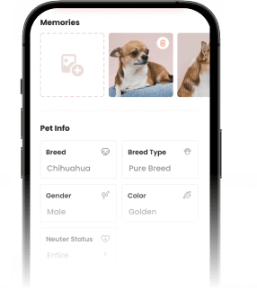 FirmPet app screen