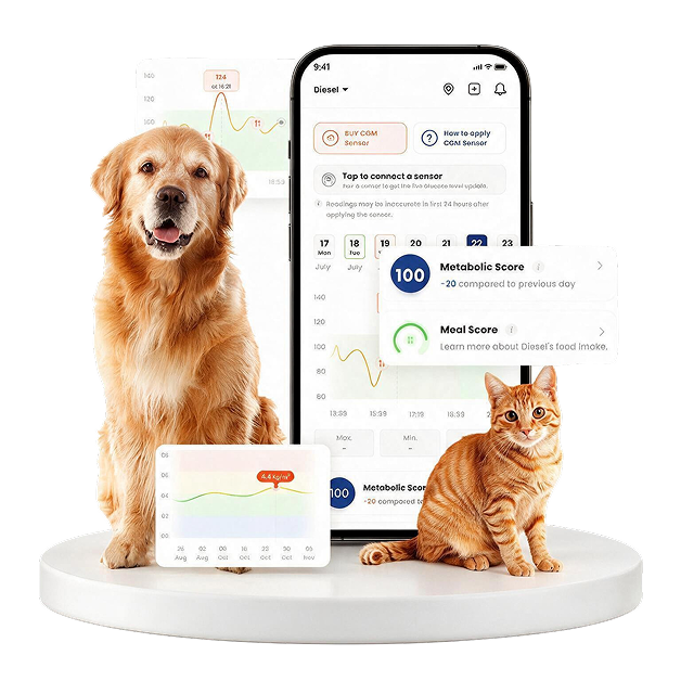 Dog, cat and the FirmPet app on a phone