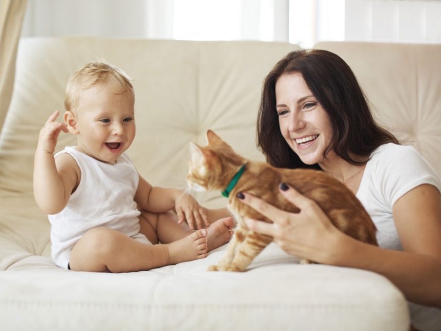 How To Pick The Suitable Pet For Your Lifestyle?