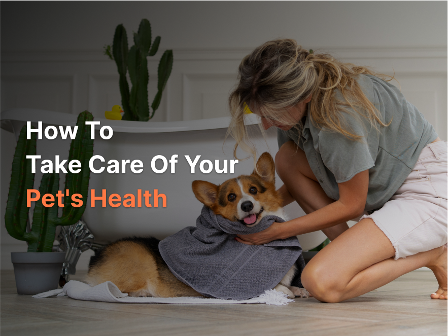 How do you take care of a pet’s health