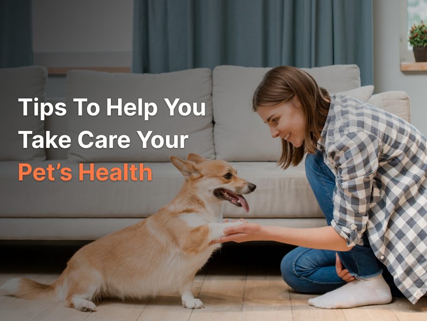 Tips to help you take care your pets health