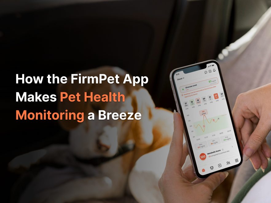 How the FirmPet App Makes Pet Health Monitoring a Breeze?