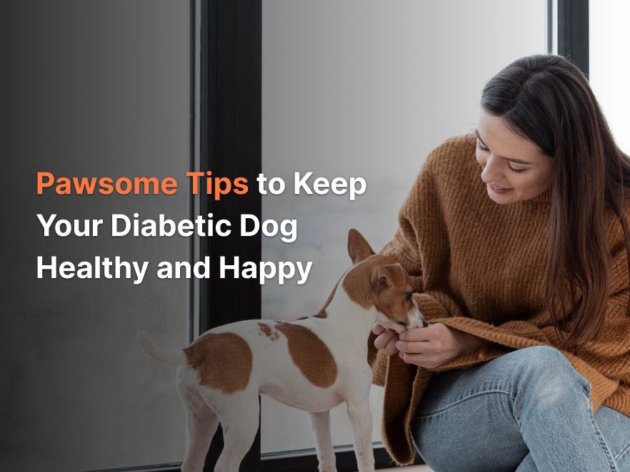 Pawsome Tips to Keep Your Diabetic Dog Healthy and Happy