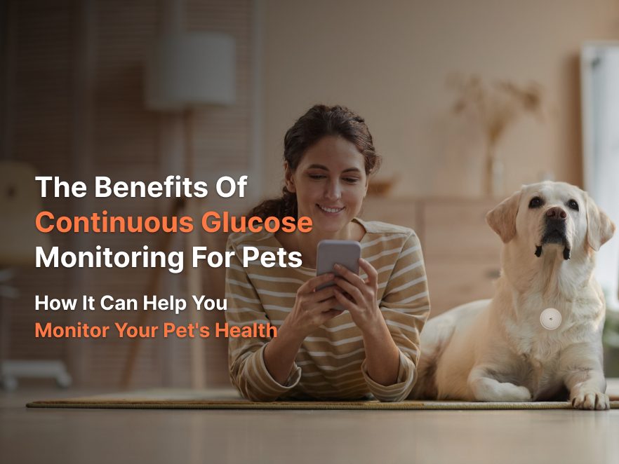 The Benefits of Continuous Glucose Monitoring for Pets: How It Can Help You Monitor Your Pet’s Health