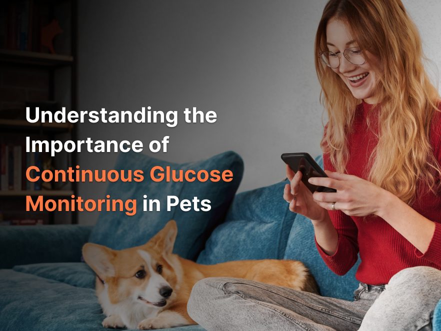 A Glucose Guardian for Your Best Friend: Understanding the Importance of Continuous Glucose Monitoring in Pets