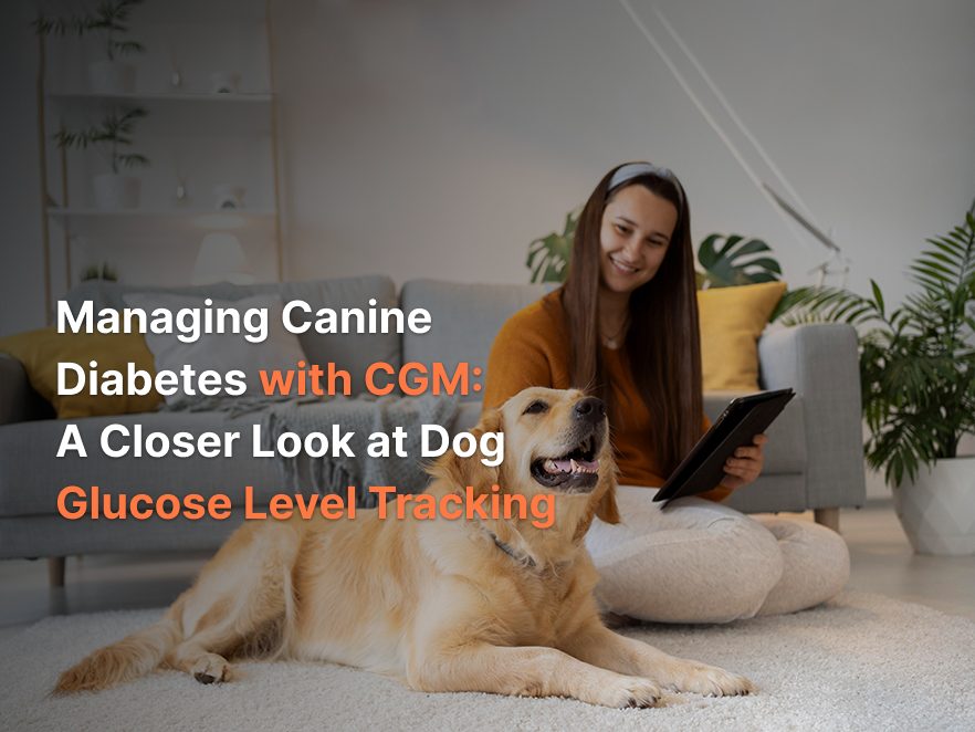 Managing Canine Diabetes with CGM: A Closer Look at Dog Glucose Level Tracking