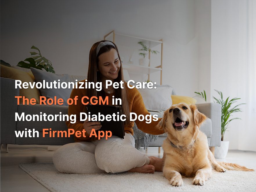 Revolutionizing Pet Care: The Role of CGM in Monitoring Diabetic Dogs with FirmPet App