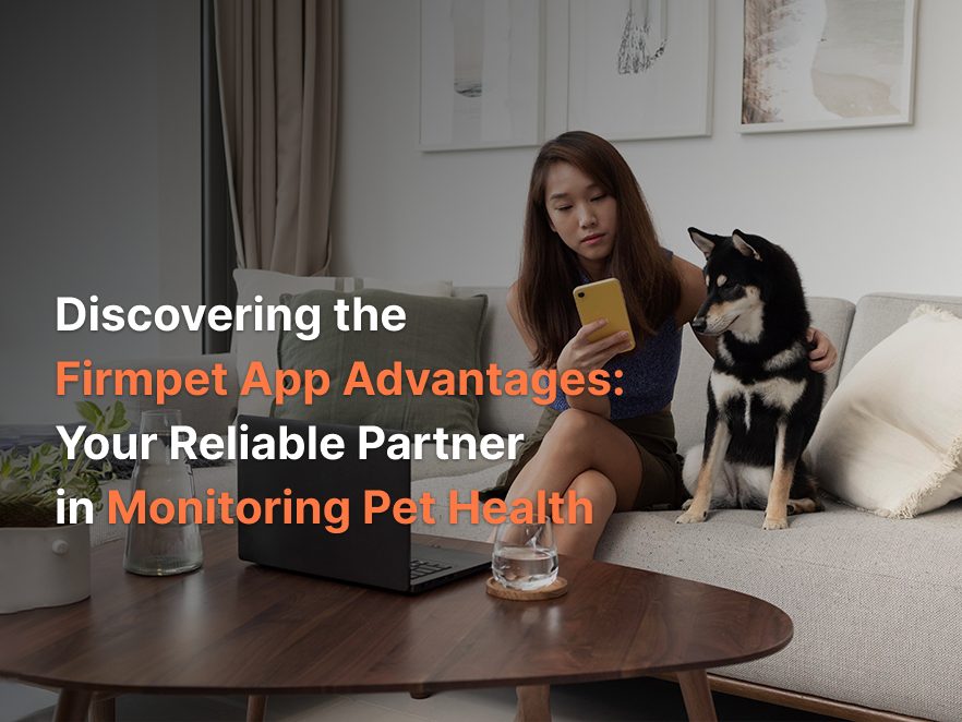 Discovering the Firmpet App Advantages: Your Reliable Partner in Monitoring Pet Health