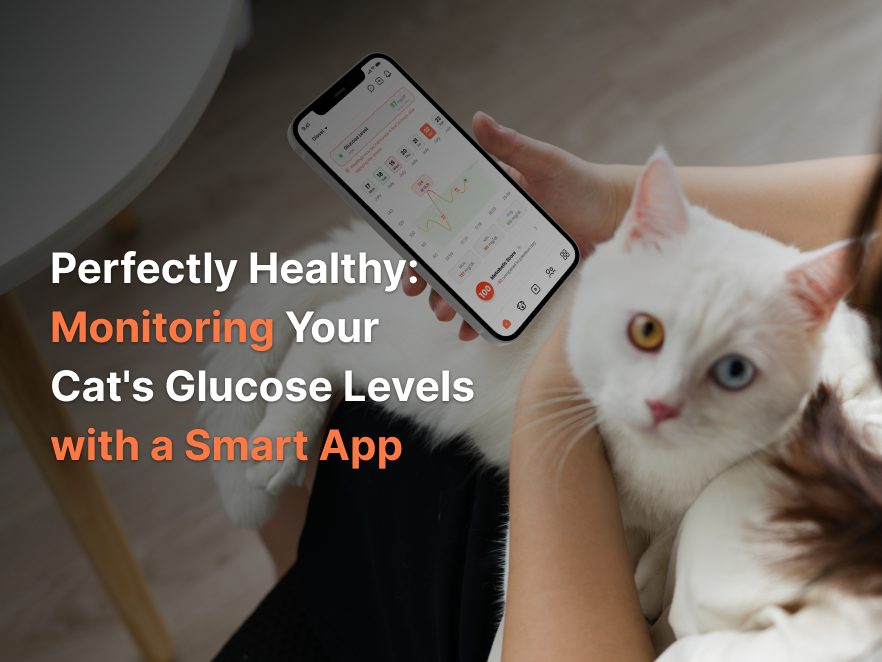 Purfectly Healthy: Monitoring Your Cat’s Glucose Levels with a Smart App
